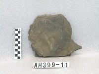 藏品(板棺側板殘片)的圖片